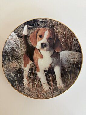 The Danbury Mint Collectors Plate Why Not - Beagle Dog Theme